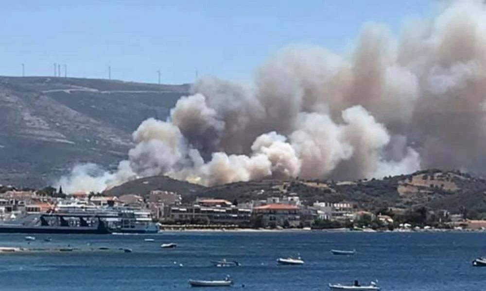 Εύβοια: 5000 στρέμματα γης έγιναν στάχτη – Δείτε την καταστροφή